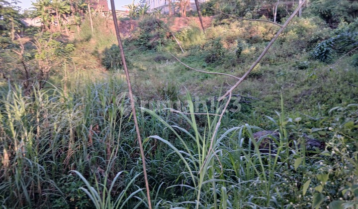 Very Cheap On The Side of Salatiga Solo Main Road, Very Potential, Very Strategic. Very Cheap On The Side of Salatiga Solo Main Road, Very Potential, Very Strategic.