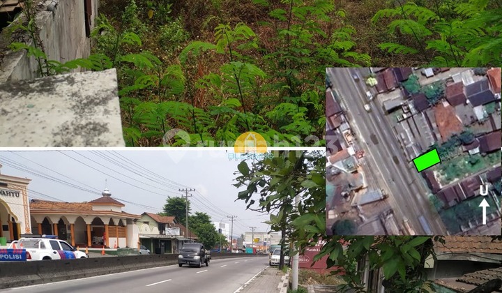 Highly Strategic Location on the Main Highway 1