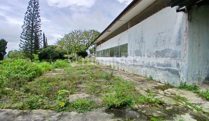 Sangat Luas Adem Tenang Nyaman untuk Istirahat Sangat Luas Adem Tenang Nyaman untuk Istirahat