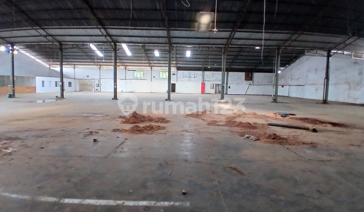 Translation: "Very Cheap, a Warehouse This Size Has Never Existed Before."
