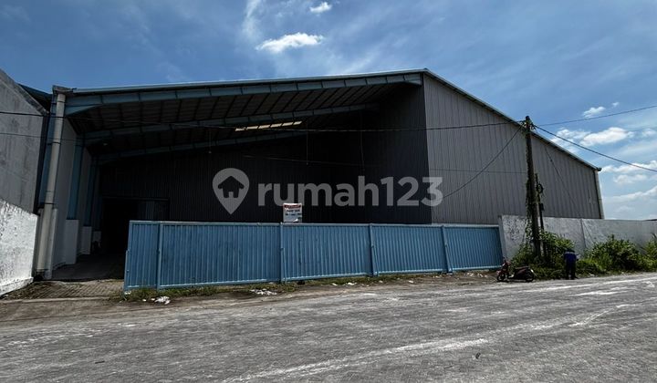 35 M Nego, Gudang Bumi Maspion Romokalisari, Siap Pakai, Dekat Akses Tol Romokalisari, Luas 4200m2