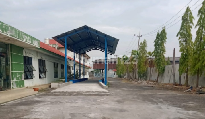 55m Nego, Gudang Jetis Mojokerto, Lt 29.970m, 0 Jalan Raya