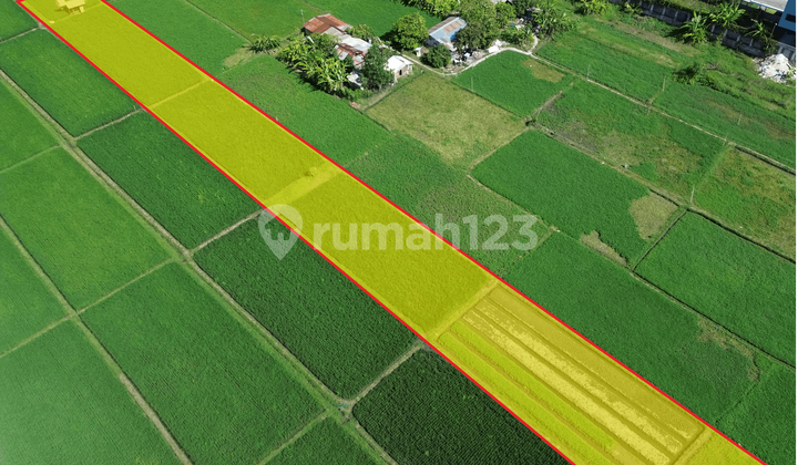 Premium Land Plot, Nakula Street, Denpasar