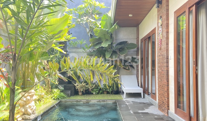 Villa For Rent Daily/Monthly/Yearly - Villa Krisna - Padonan
