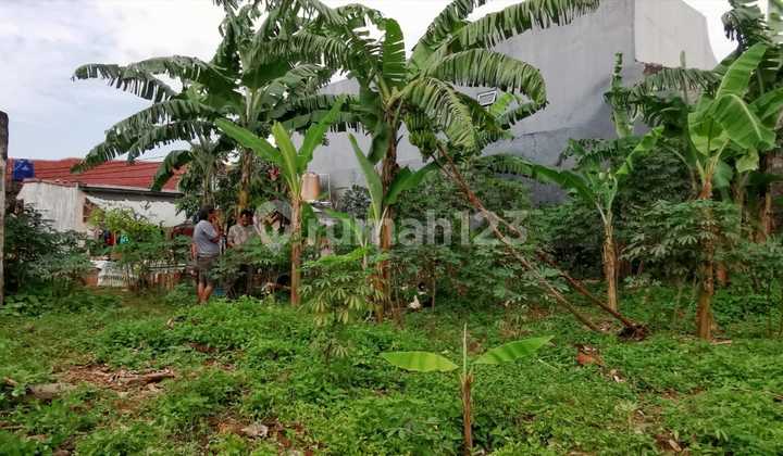 Dijual Tanah Kavling Luas di Lubang Buaya, Cipayung Jakarta Timur Dijual Tanah Kavling Luas di Lubang Buaya, Cipayung Jakarta Timur