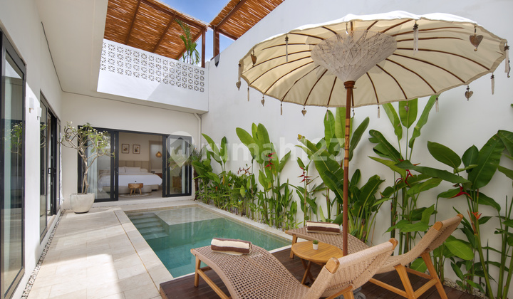 Cozy New 2 Bdr Close To Beach Cozy New 2 Bdr Close To Beach