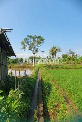 Land for Sale in Situ Ilir, Cibungbulang