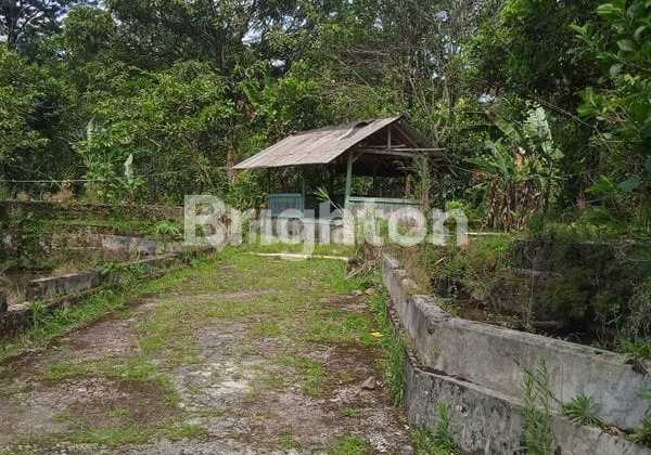 Land for Sale in Pamijahan Area with 25 Fish Ponds Land for Sale in Pamijahan Area with 25 Fish Ponds