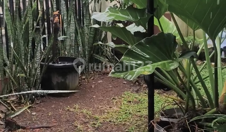 For Rent House in Bambu Apus Yasmin Bogor For Rent House in Bambu Apus Yasmin Bogor