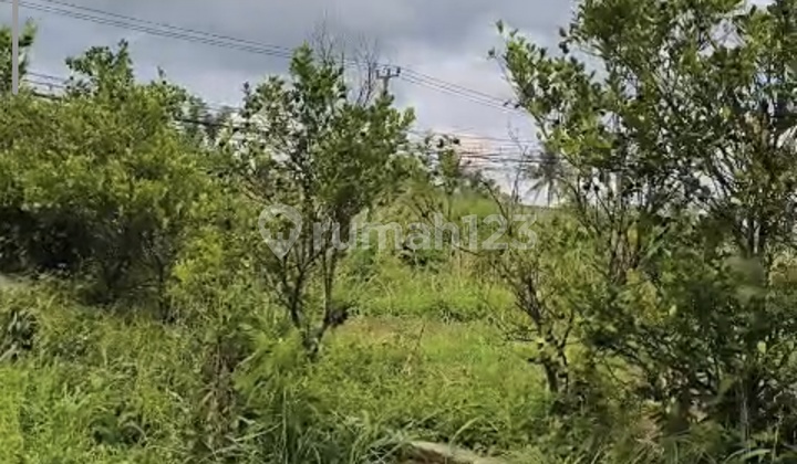 Di Jual Tanah Di Cicurug Cidahu 