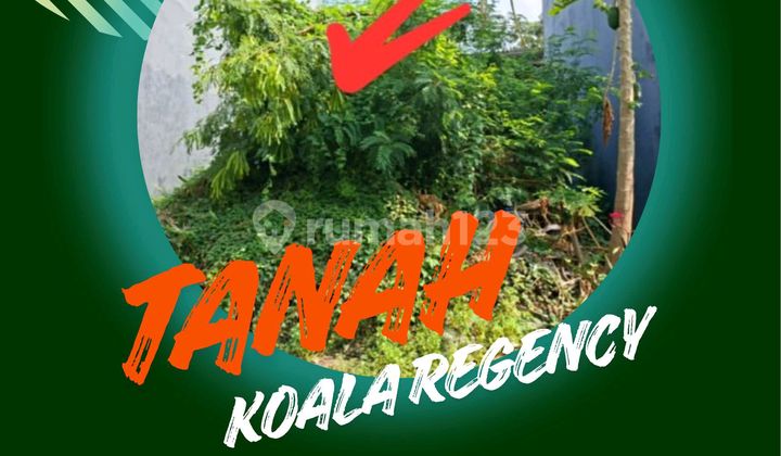 Jual Cepat Tanah Koala Regency Dekat Kampus Surabaya