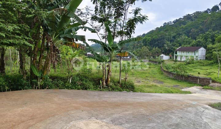 Land Investment With Water Source For Fish Pond Fishing 2