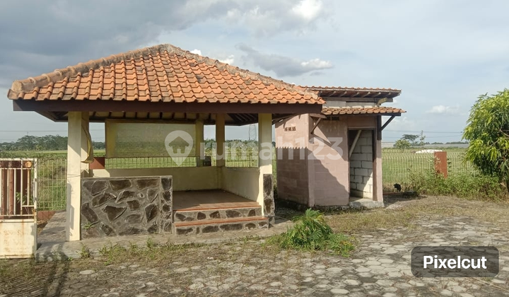 KAVLING TANAH RATA 1000 sqm BAGUS UK USAHA PERIKANAN PERTANIAN 