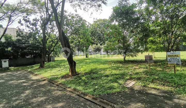 SPACIOUS PLOT INSIDE A CLUSTER