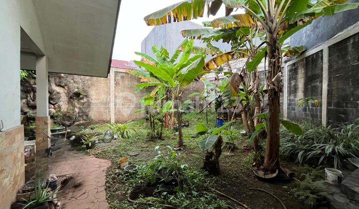 Rumah dengan LT 302 Sqm Ada Kebun