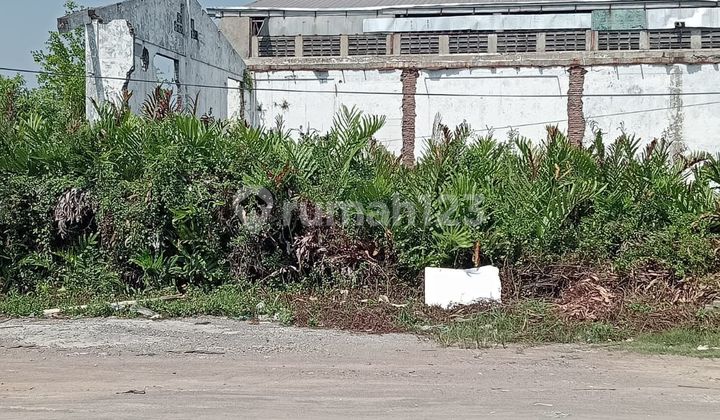 Land for Sale - Large and Ready to Use in Terboyo 2