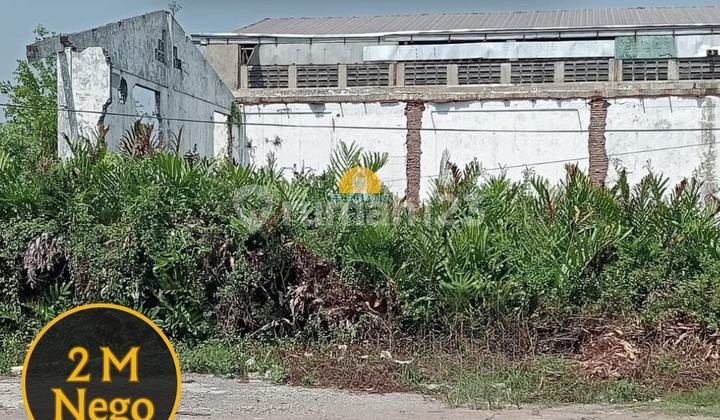 Land for Sale - Large and Ready to Use in Terboyo 1