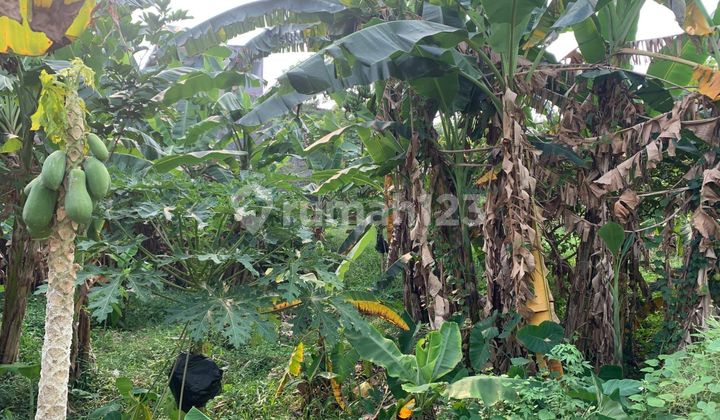 Tanah Ring 1 Undip Cocok Utk Kos2an Di Jl Maerasari Tembalang 2