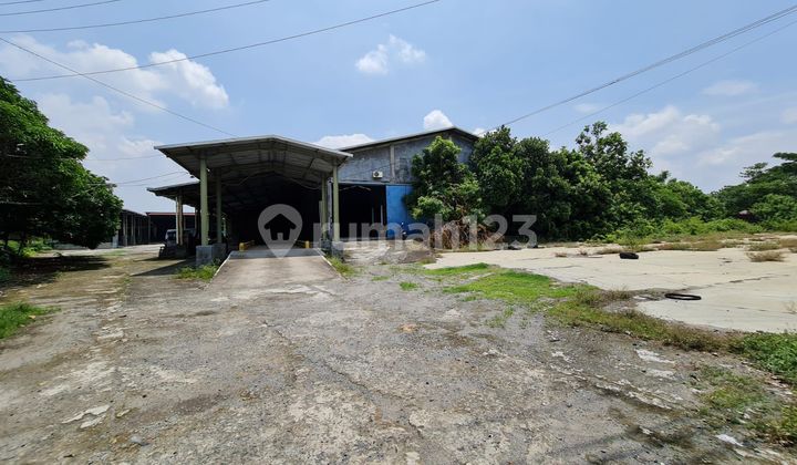Ready-to-Use Warehouse, Spacious, Suitable for Business, Semarang Purwodadi Road. Ready-to-Use Warehouse, Spacious, Suitable for Business, Semarang Purwodadi Road.