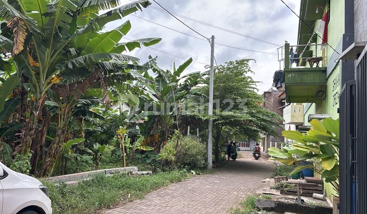 Tanah Ring 1 Undip Cocok Utk Kos2an Di Jl Maerasari Tembalang 1