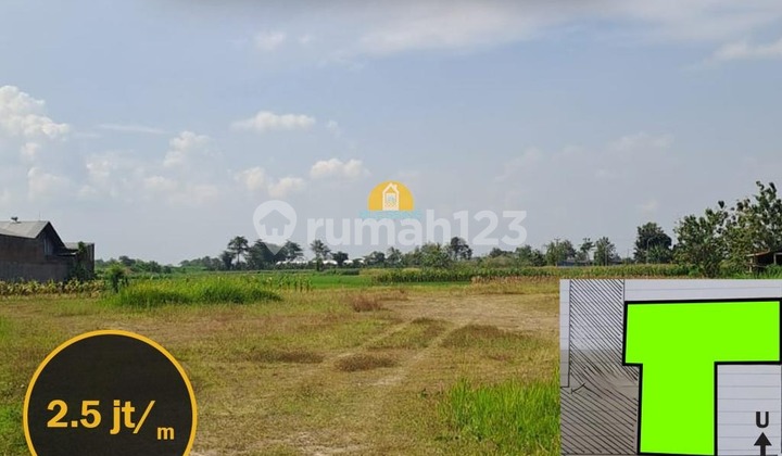 Land for Sale - Large and Ready to Use in Grobogan Land for Sale - Large and Ready to Use in Grobogan