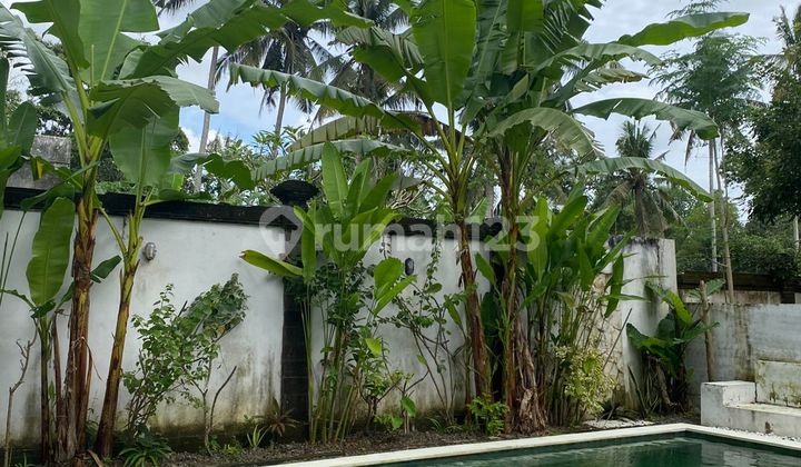 Vila Mewah dengan View Sawah di Tabanan Vila Mewah dengan View Sawah di Tabanan