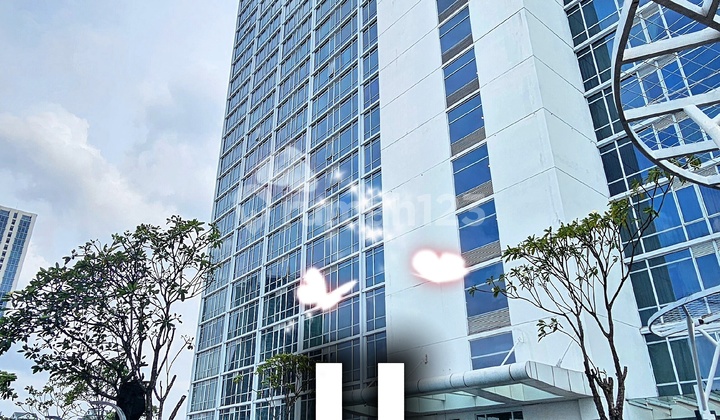For Rent Penthouse Garden Apartment U Rresidence Lippo Karawaci