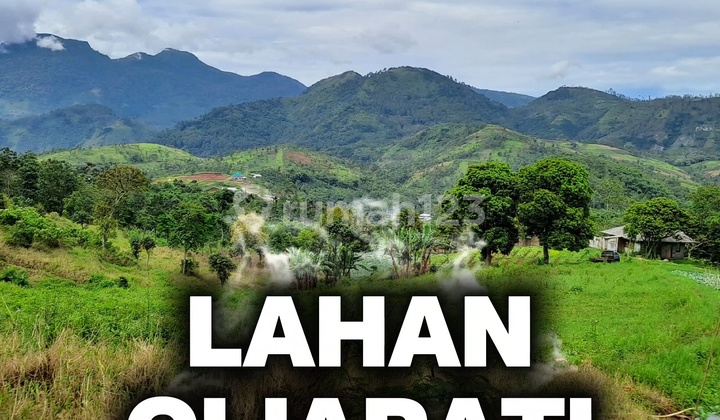 Cheap Sale 2 Ha Land Suitable for Resort in Garut