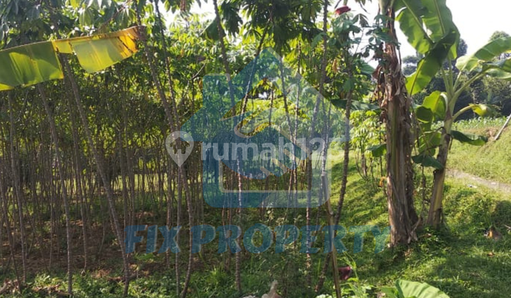 Plot for Sale in Ciomas Area Plot for Sale in Ciomas Area