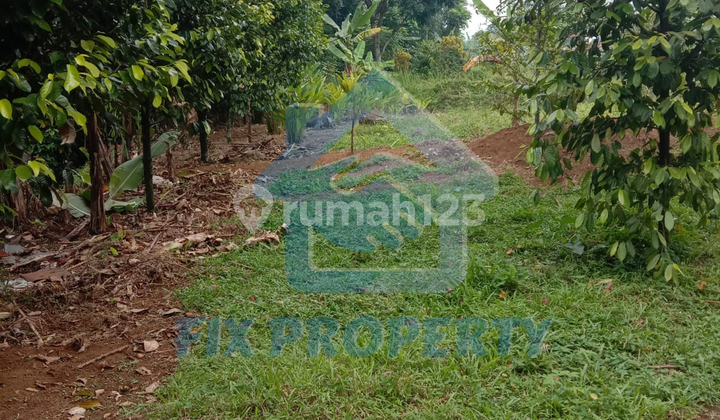 Plot for Sale in Ciomas Area Plot for Sale in Ciomas Area