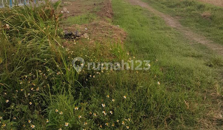 Tanah Potensial Colomadu Tanah Tanah Potensial Colomadu Tanah