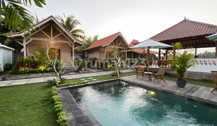 Villa Damai in Jembrana – A Hidden Gem Near the Beach