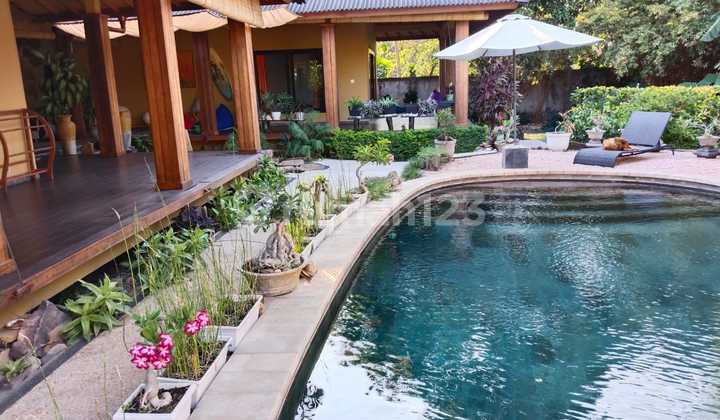 Private Paradise by Karangasem Beach - Exclusive Freehold Property