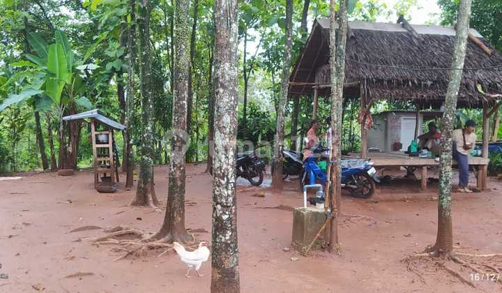 Land in Sajira, Lebak, Tangerang, Banten, area 30 hectares Land in Sajira, Lebak, Tangerang, Banten, area 30 hectares