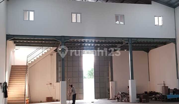 Gudang Kapuk Peternakan Jakarta, Baru & Bagus Gudang Kapuk Peternakan Jakarta, Baru & Bagus