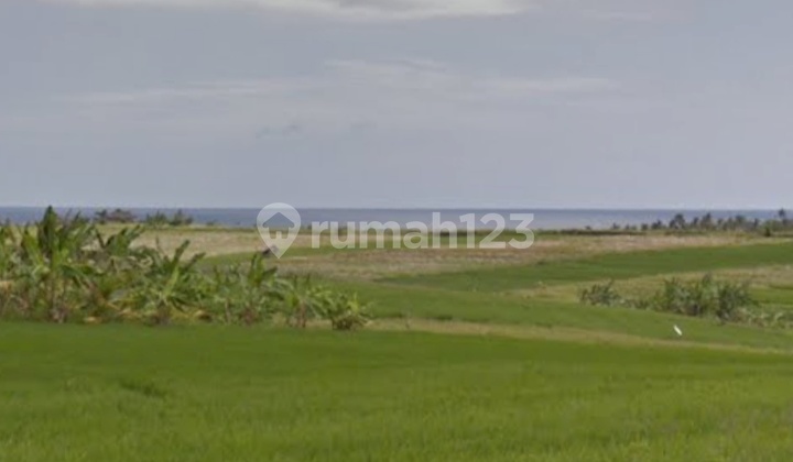 Trade zone land (red zone) in Imam Bonjol near Sunset road