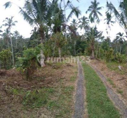 Tanah Kebun Dekat Talasi Estate Dan Alassari Plantation Bali 1