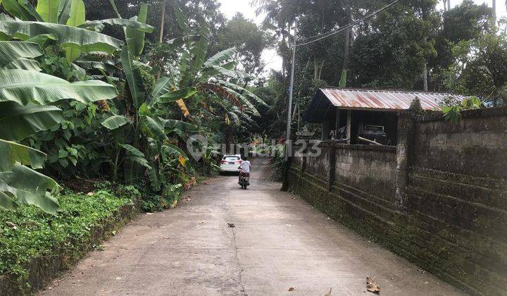 Tanah Zona Kuning Di Sebali Ubud Bali 2