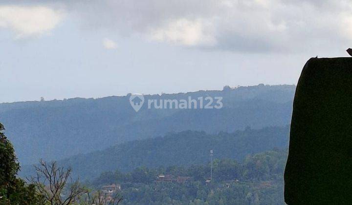 Tanah view sawah dan gunung di Munduk Singaraja Bali 2