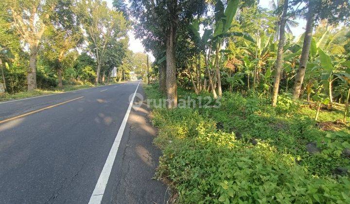 Tanah Dijalan Utama Dekat Exit Toll Pekutatan Bali 1