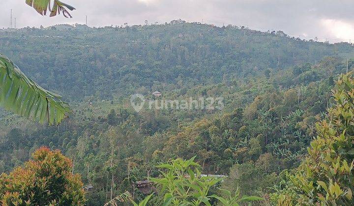 Tanah View Gunung dan Lembah di Munduk Singaraja Bali 2