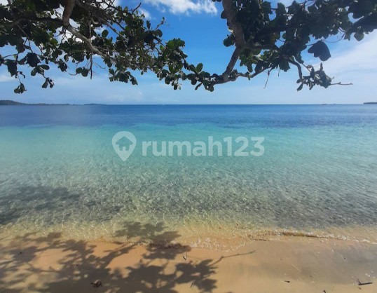 Land in Kaba Kaba only 15 minutes to Canggu Bali Land in Kaba Kaba only 15 minutes to Canggu Bali