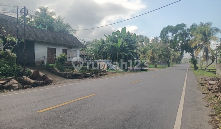 Tanah Di Selabih Tabanan Pinggir Jalan Denpasar Gilimanuk Tanah Di Selabih Tabanan Pinggir Jalan Denpasar Gilimanuk