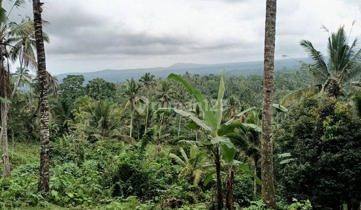 Garden land with mountain and valley views near Bali Eco Stay 2