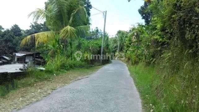 Garden land near Bali Silent Retreat and Penalahan Bali hot springs 1