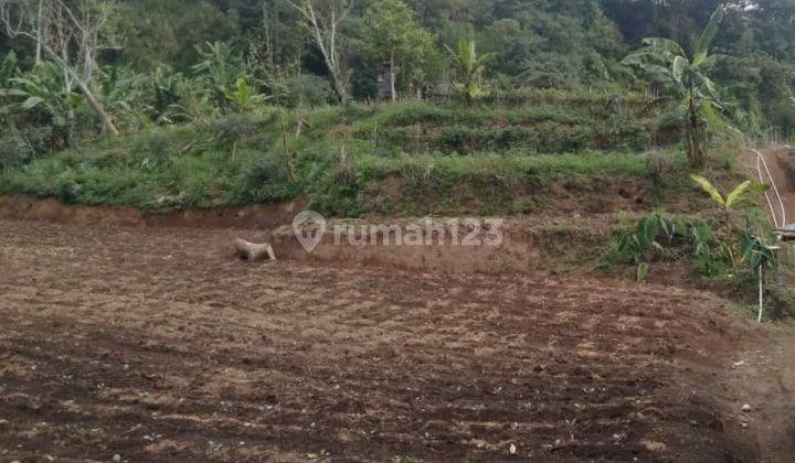 Tanah kebun 3 kilometer dari Munduk Moding Bali 2