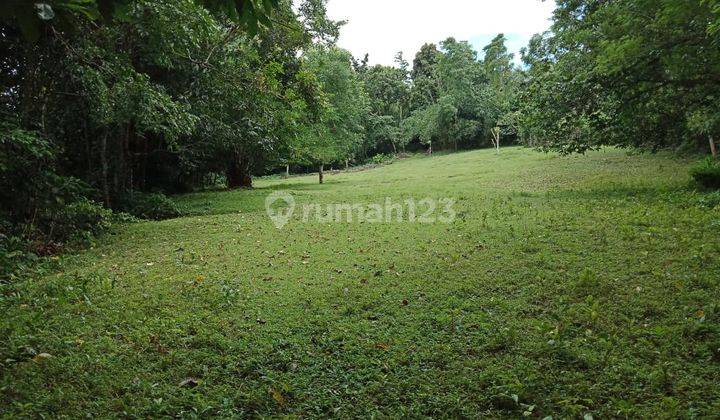 Tanah dekat pantai Kelecung Bali view sungai dan jungle 2