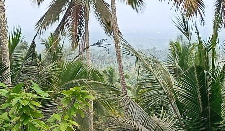 Land with mountain and valley views 1 hour from Canggu Bali 2