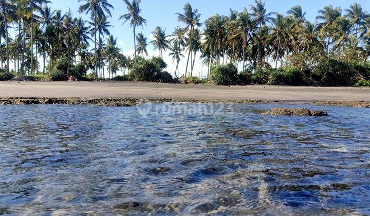 Beach front land di Perancak 30 menit ke pantai Medewi Bali 1