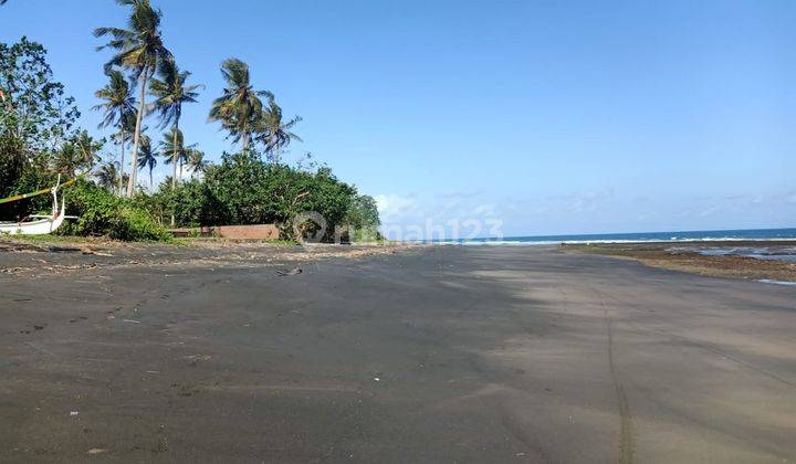 Beach front land di Perancak 30 menit ke pantai Medewi Bali 2